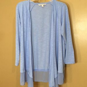 Adrienne Vittadini - baby blue light sweater